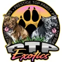 Avatar of Ptp exotics