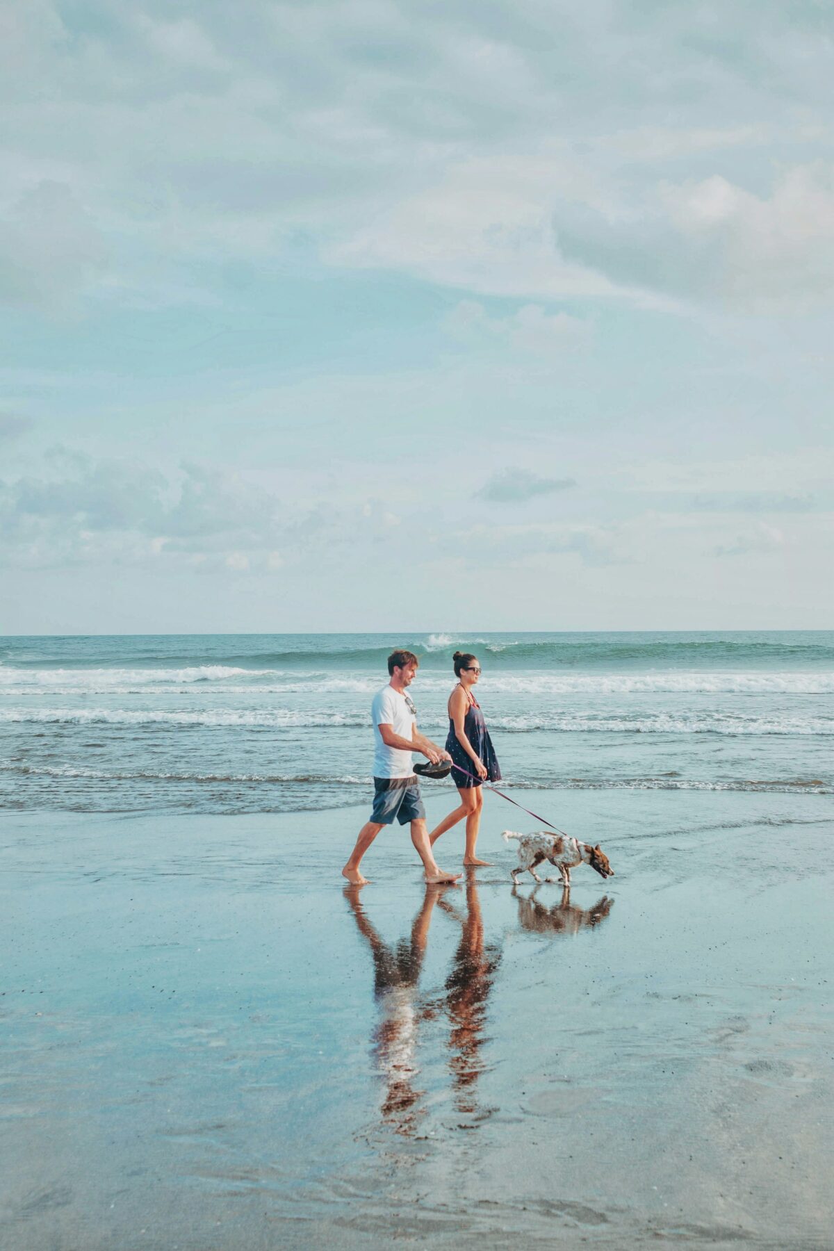 Couple Walking dog on a beach