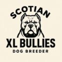 Avatar of ScotianXLBullies