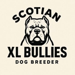 Avatar of ScotianXLBullies