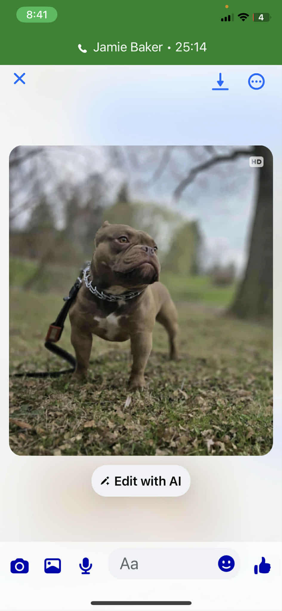 Puppies for sale