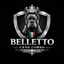 Avatar of Bellettocanecorso