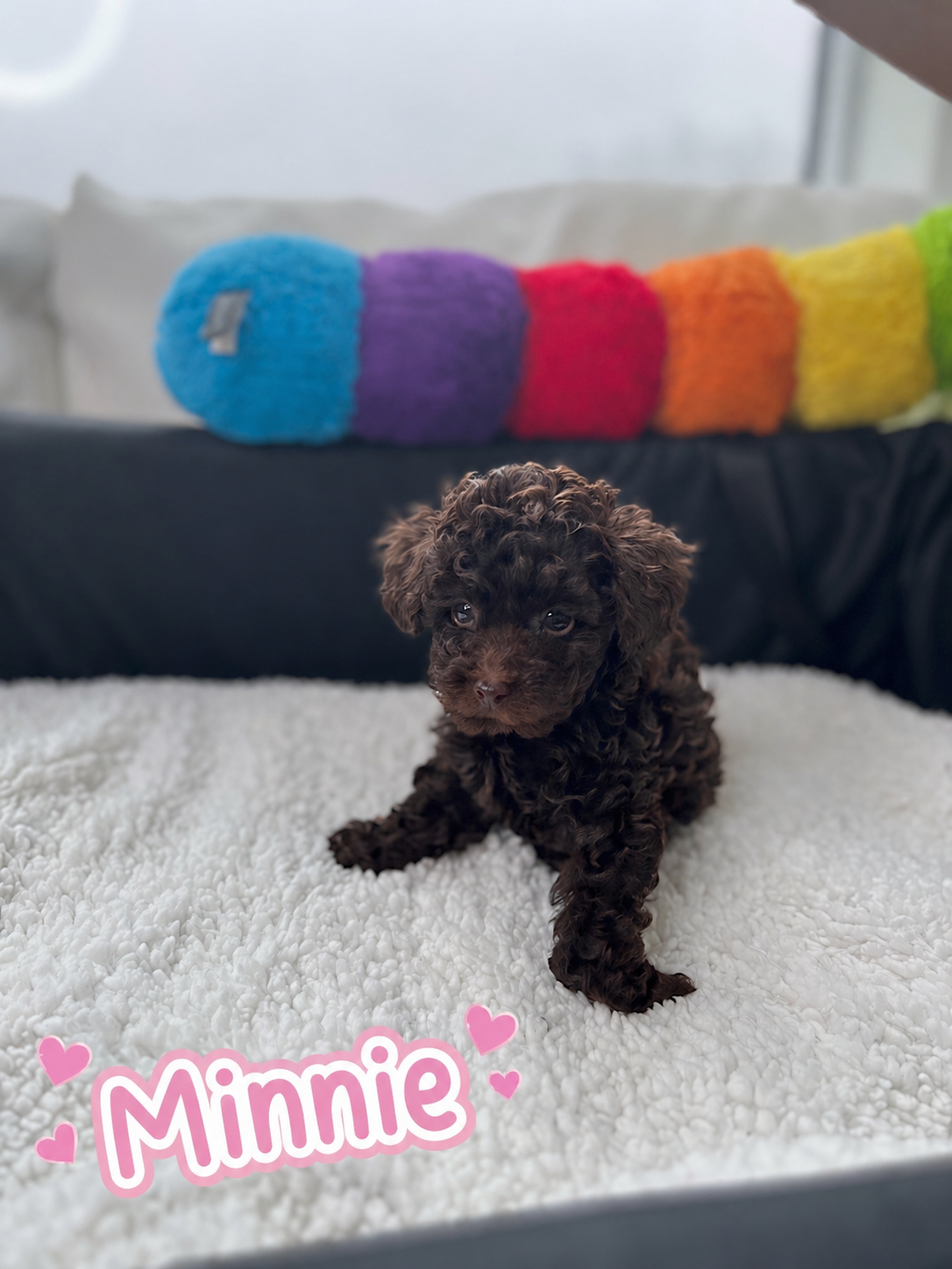 Minnie
