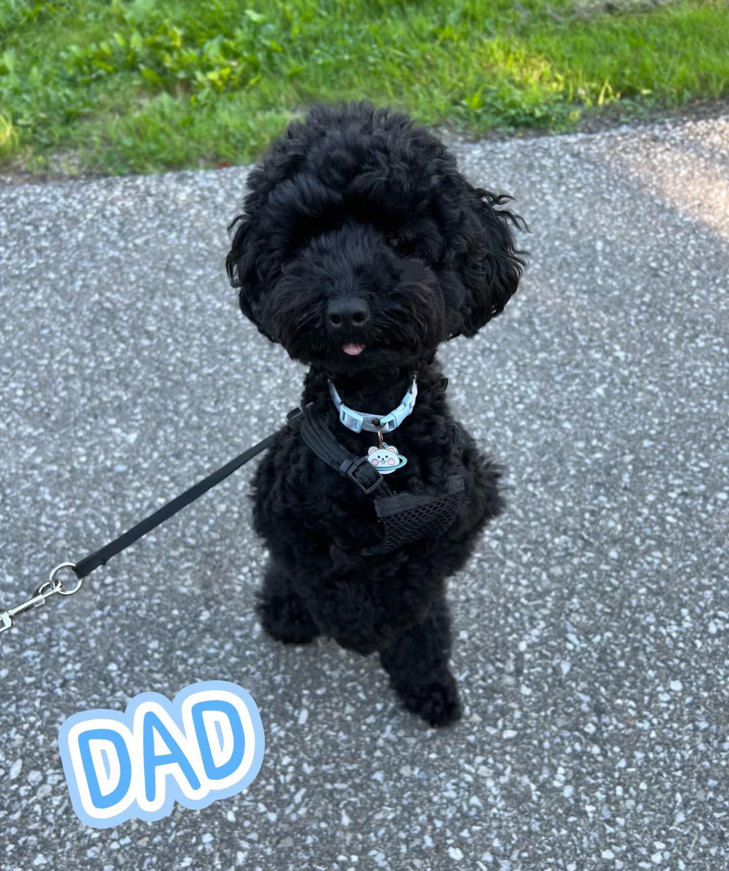 Dad